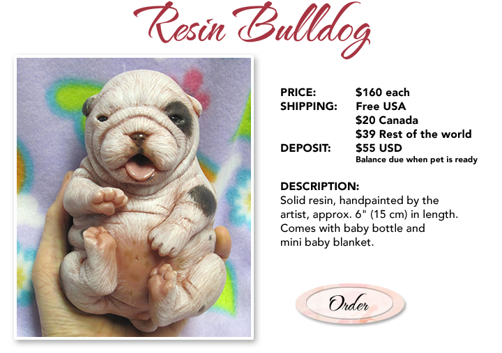 ping lau puppies
